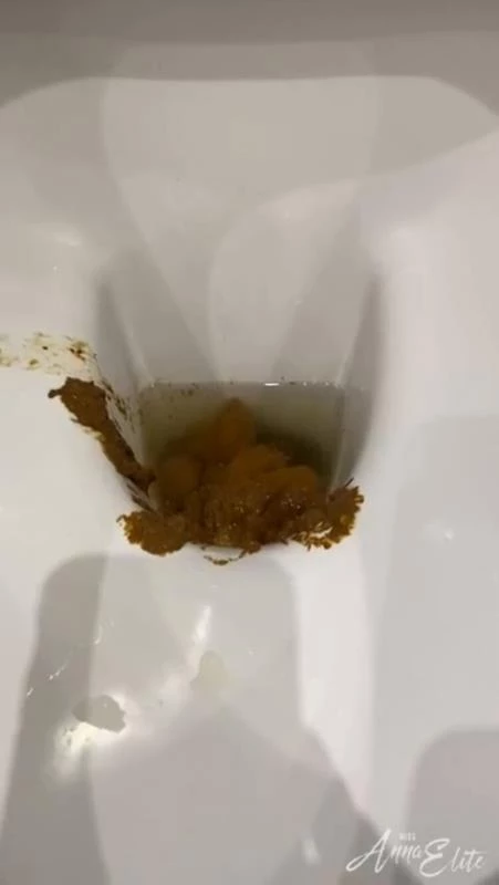 A big pile of shit in the toilet. P1  (2024) [HD]